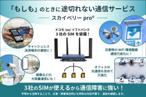 【コラム⑤】3キャリアを同時搭載する“次世代型冗長化” ― 「スカイベリー pro®」 に見る実用性と進化